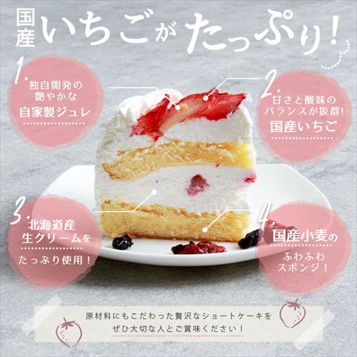 送料無料 ショートケーキ ケーキ いちご イチゴ 苺 フルーツ お菓子 映え 映える ギフト 5号 15cm 配送 写真 冷凍 冷凍ケーキ 洋菓子 スイーツ デザート 大きい 大きめ ボリューミー ビッグサイズ お中元 御中元 お返し プレゼント スイーツ お歳暮 おしゃれ 可愛い 誕生日 バースデー クリスマス お祝い イベント 食品 おやつ
