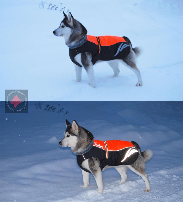 中型犬 大型犬用ジャケット