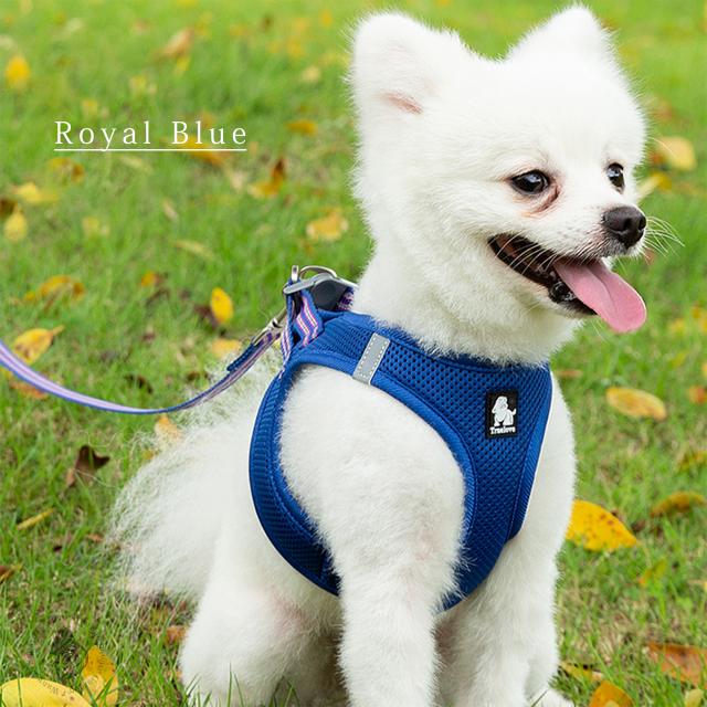 Truelove 犬用ハーネス ロイヤルブルー リードセット 通気性メッシュで快適散歩