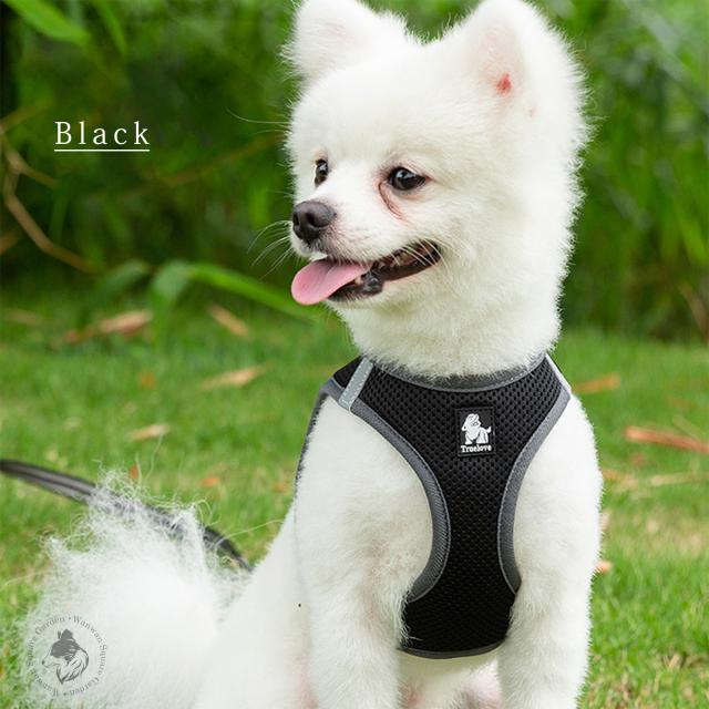 Truelove 犬用ハーネス ブラックカラー 小型犬が屋外で使用しているイメージ 反射素材付き