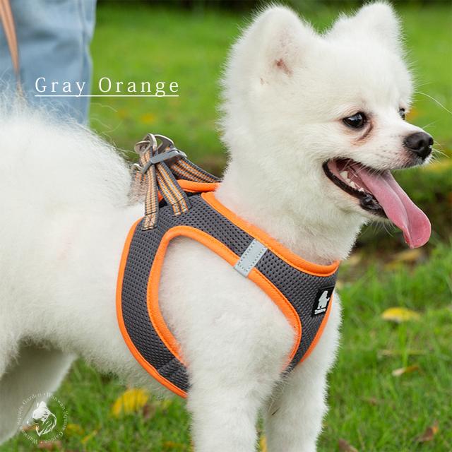 Truelove 犬用ハーネス グレーオレンジカラー 小型犬 リードセット 屋外使用イメージ