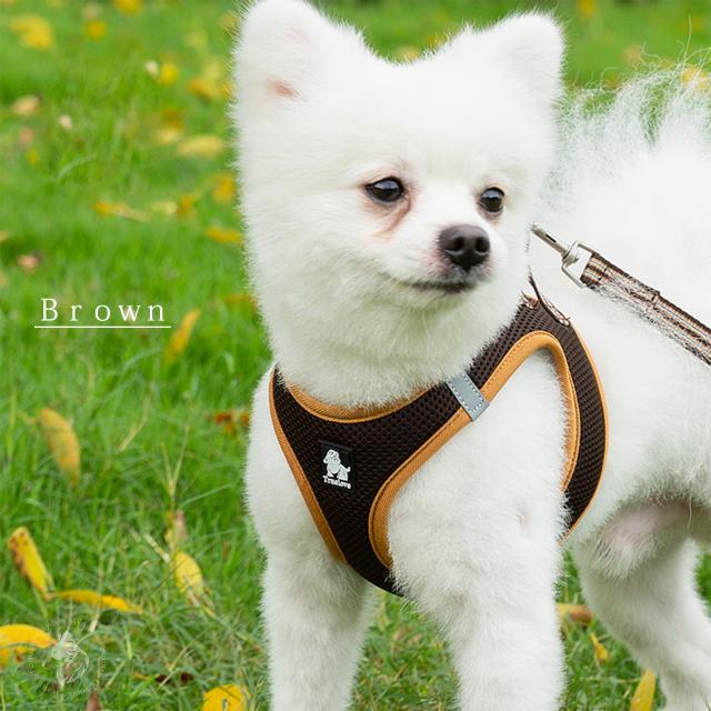 Truelove 小型犬 ハーネス ブラウンカラー リード付き散歩イメージ 通気性良いメッシュ素材