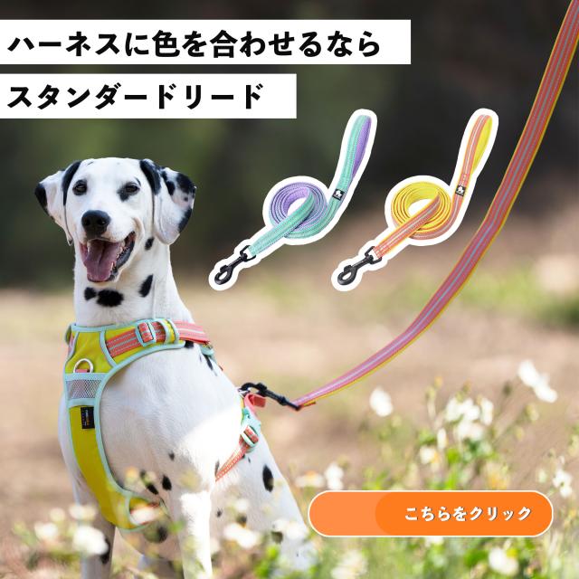 おそろいのリードも単品で選べる11色 Truelove正規品 Truelove日本卸売総代理店