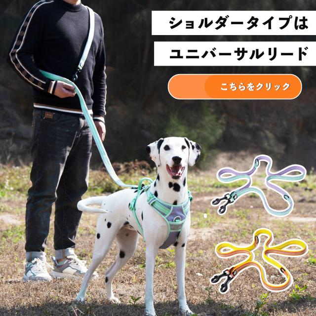 おそろいのリードも単品で選べる11色 Truelove正規品 Truelove日本卸売総代理店