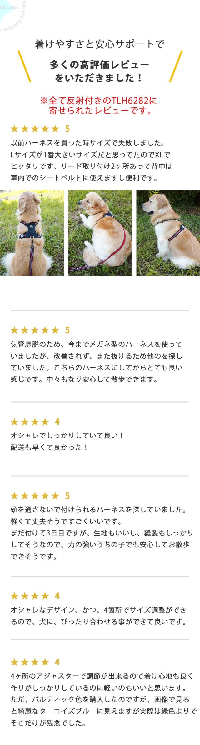 犬との暮らし 犬と一緒に お散歩 アウトドア 海 川 山 軽量 メッシュ 通気性抜群