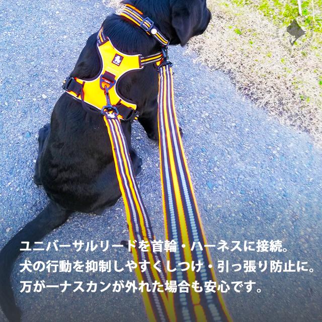 Truelove 多機能ユニバーサルリード メインイメージ