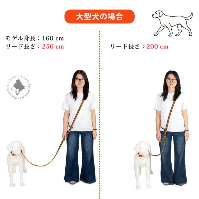 Truelove 多機能リード 大型犬向け 女性モデル 着用比較