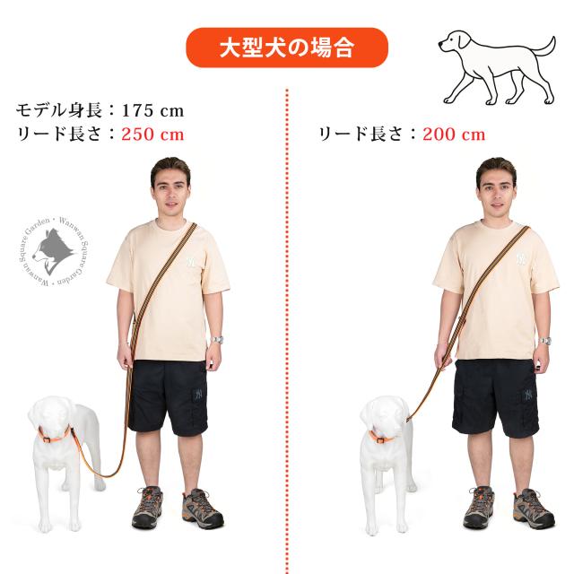 Truelove 多機能リード 大型犬向け メンズ着用例 比較