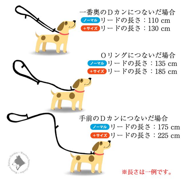 Truelove 多機能リード 長さ調節方法 OリングとDカンの位置説明