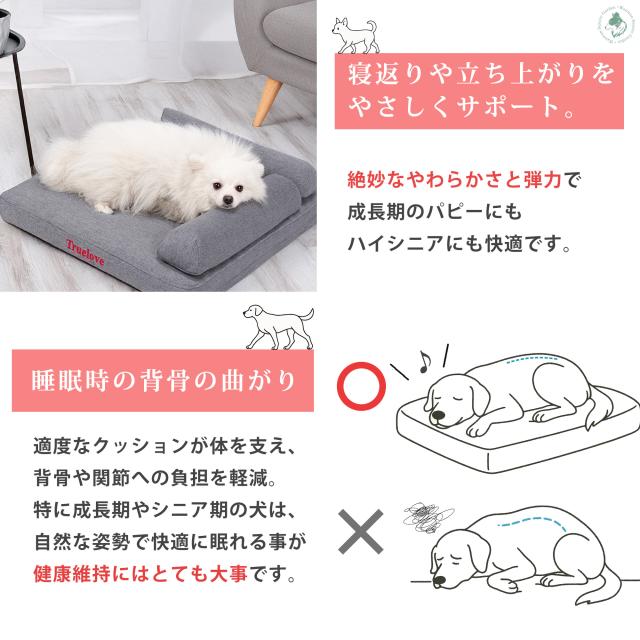 ローベッド設計で立ち上がりやすく、関節にやさしい構造 ペットの健康維持に最適なベッド