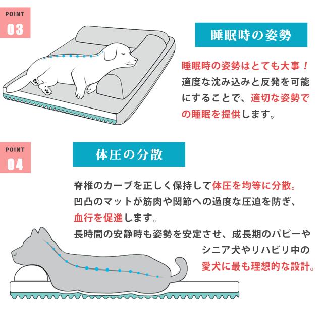 体圧を均等に分散して姿勢を安定 脊椎カーブを自然に保ち深い眠りをサポート