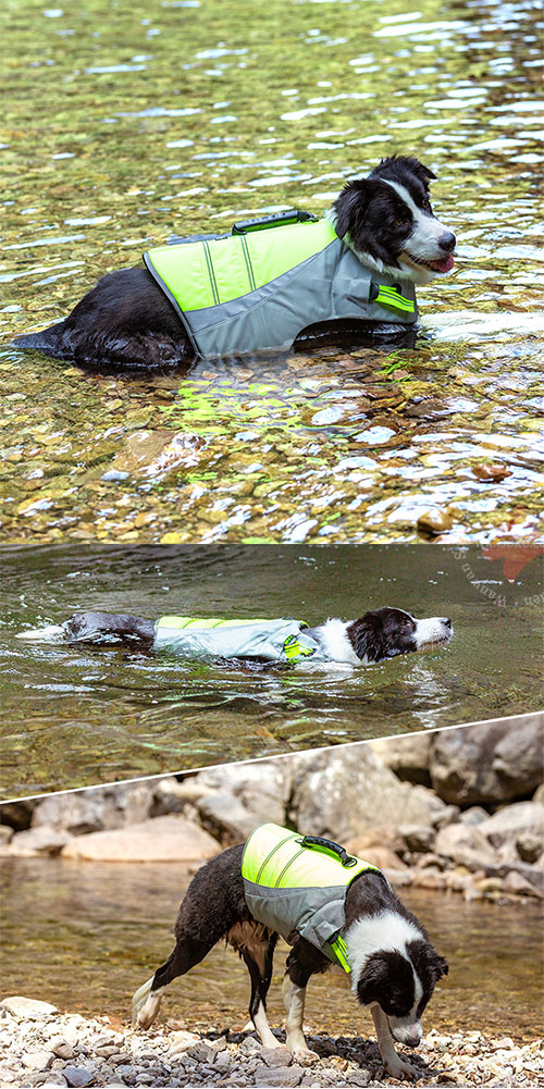 犬用ライフジャケット 小型犬から大型犬まで対応 Truelove TLY1951 SUPやカヌーで活躍する愛犬用高浮力ライフジャケット