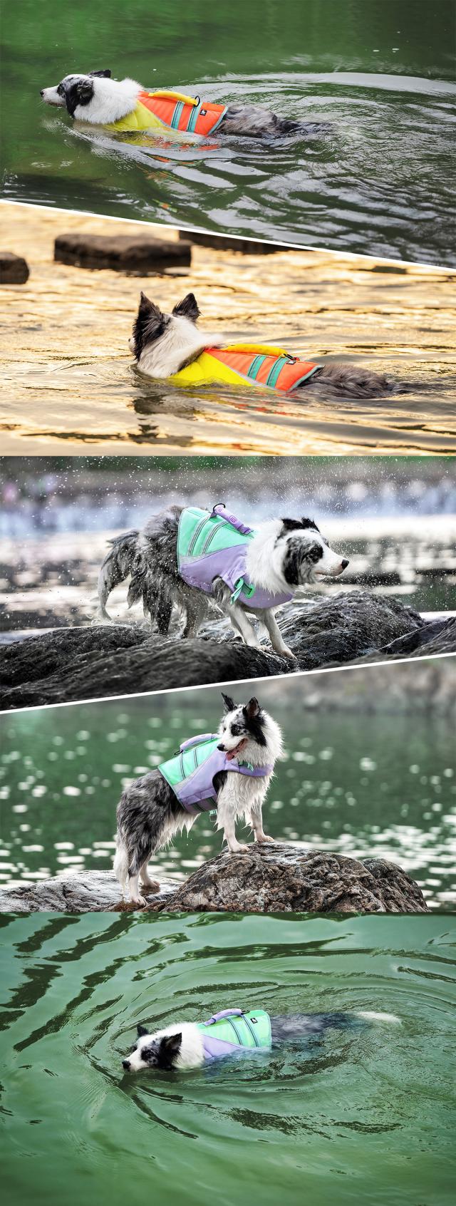 Trueloveブランドの丈夫な犬用フローティングベスト 正規品