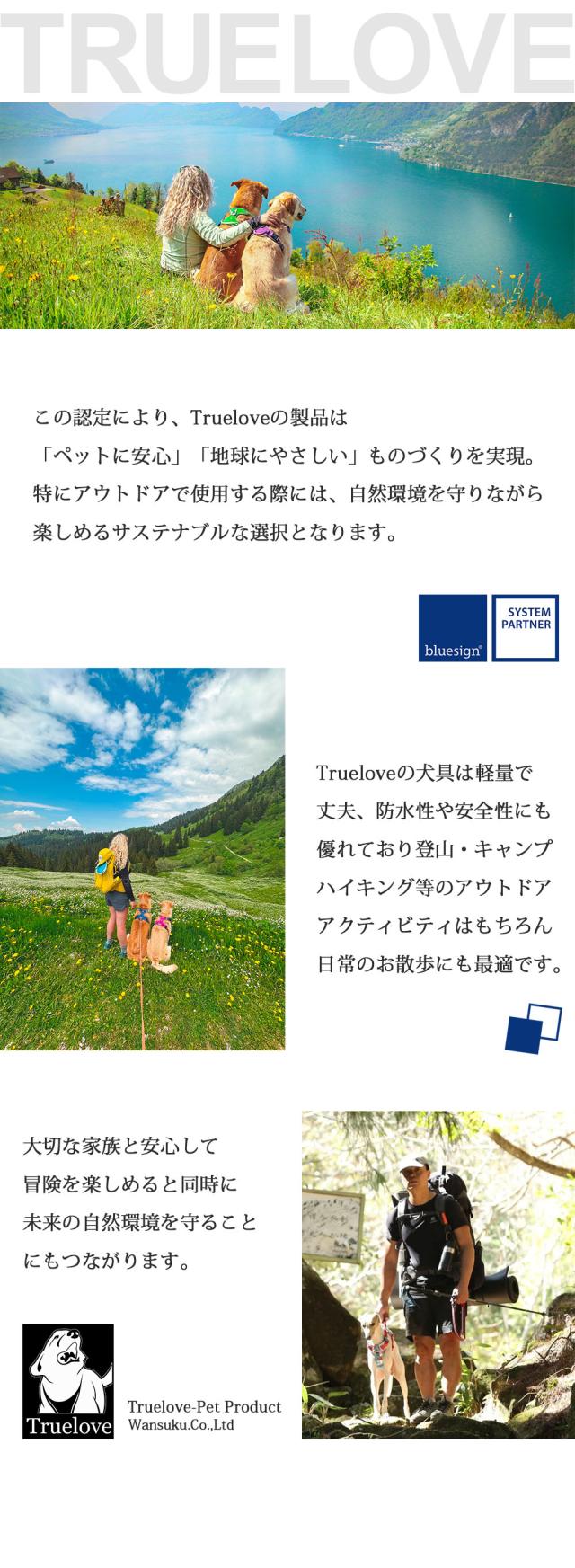 Truelove はブルーサインシステムパートナーとして安全基準を遵守しています