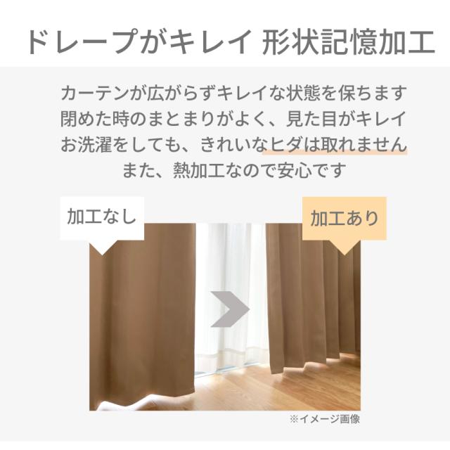 カーテン 遮光 エレガント な遮光カーテン 幅100cm 2枚入 上品