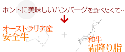 ホントに美味しいハンバーグを食べたくて
