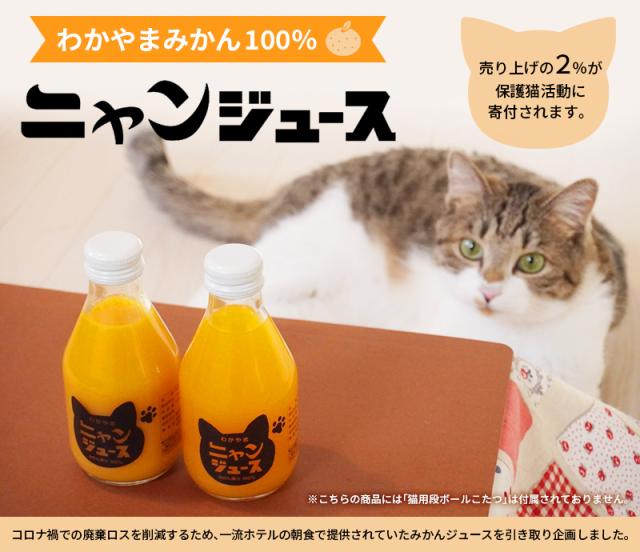 ネコ専⽤こたつ付き ニャンジュース　コロナ禍での廃棄ロスを削減するため、一流ホテルの朝食で提供されていたみかんジュースを引き取り企画しました。