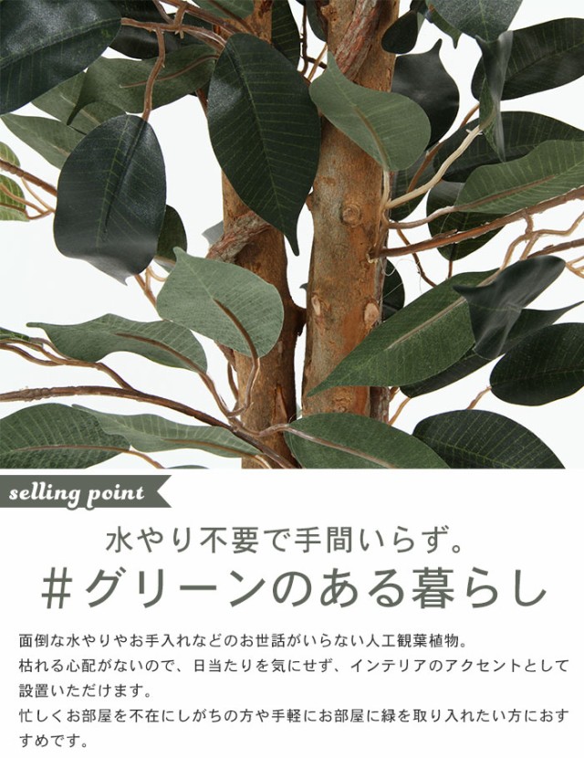 ランキング１位受賞 フィカス フェイクグリーン 観葉植物 人工 高さ 150cm 6号鉢対応 人工 造花 フェイク グリーン シンプル オフィス おしゃれ 観葉 植物 鉢 Sale 公式通販 直営店限定 Www Servblu Com