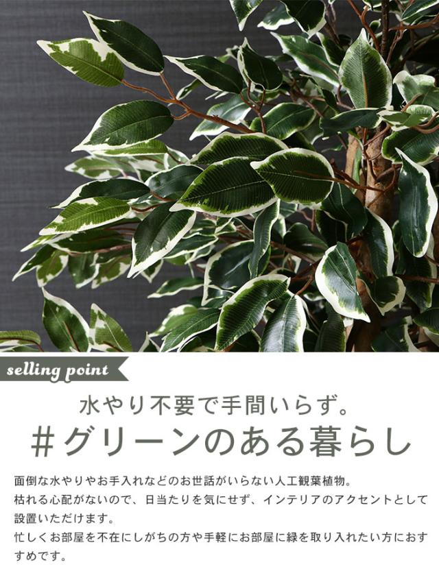 売れ筋 フィカス フェイクグリーン 観葉植物 人工 高さ 160cm 6号鉢対応 人工 造花 フェイク グリーン シンプル オフィス おしゃれ 観葉 植物 鉢 最安値に挑戦 Bayounyc Com
