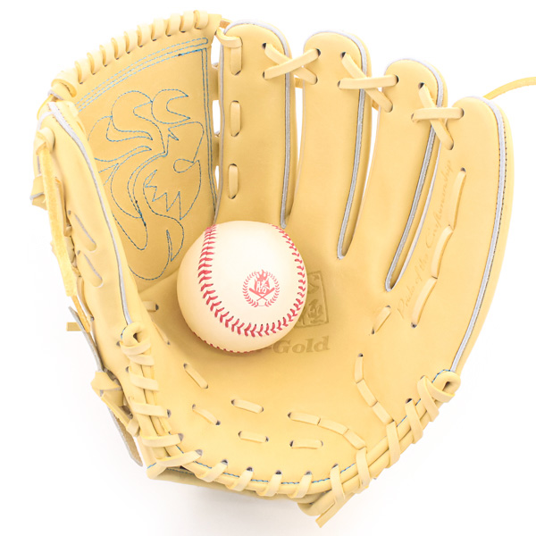 ハイゴールド HI-GOLD ハイゴールド Hi-gold 心極 硬式用 硬式グローブ