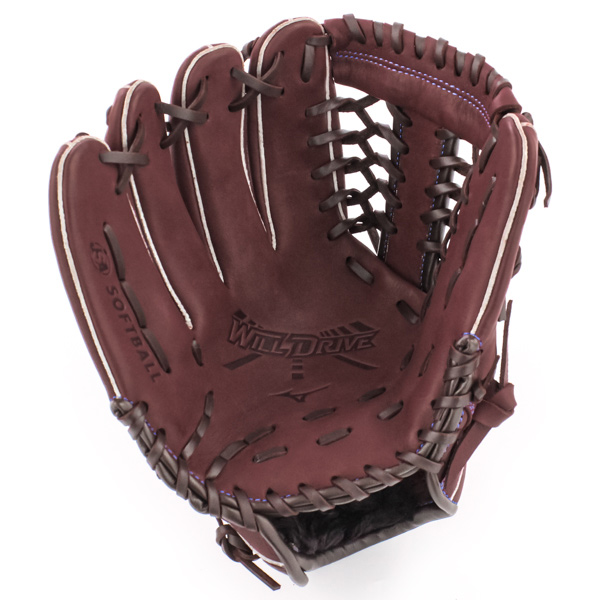 ミズノ Mizuno ウィルドライブブルー WILL DRIVE BLUE ジュニアソフトボール用 2号ソフトボールグローブ