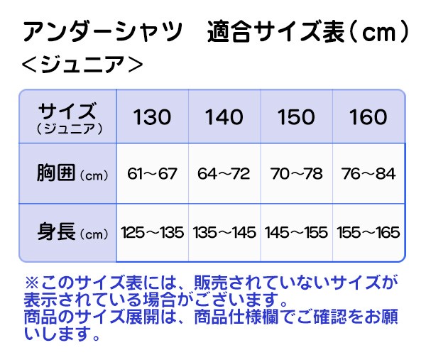 デサント 野球 アンダーシャツ 冬用 ジュニア 裏起毛 ハイネック 丸首