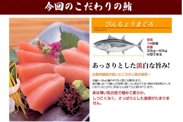 ビンチョウまぐろ