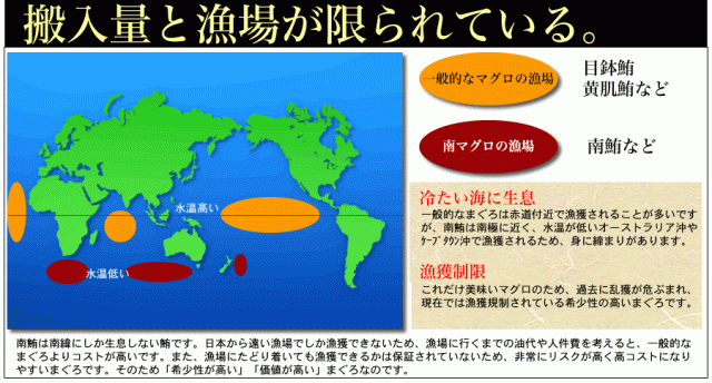 南まぐろ搬入制限