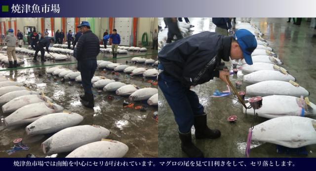 焼津魚市場