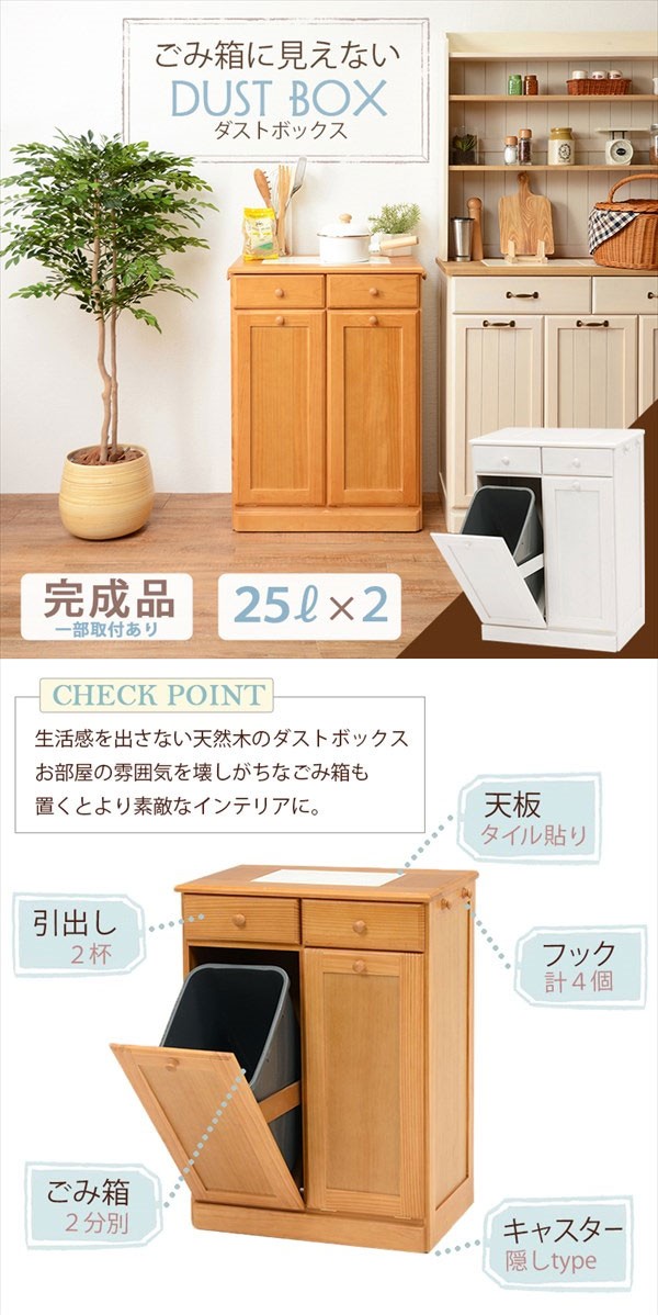 ゴミ箱 隠れてます キッチンカウンター ダストボックス 25Lペール2個