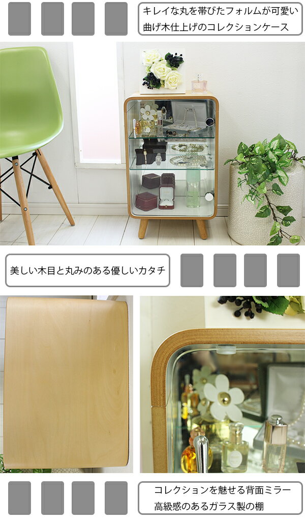 ディスプレイ ショーケース