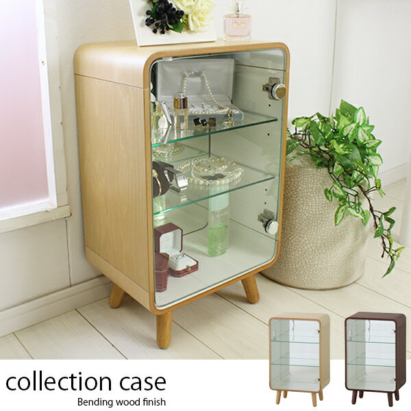 ディスプレイ ショーケース