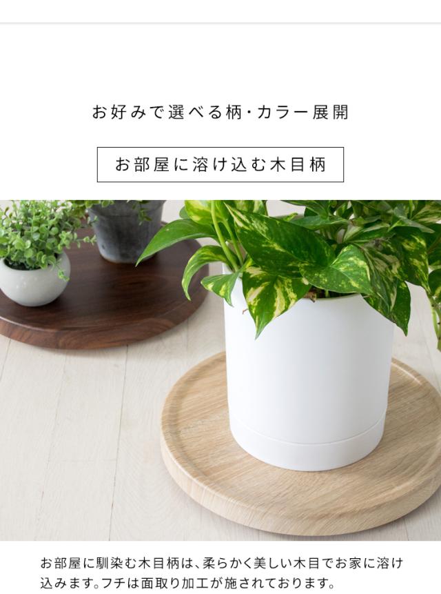 マルチスタンド