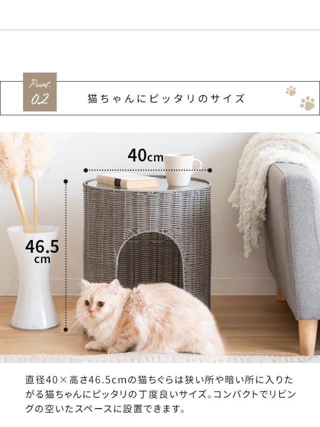 キャットハウス