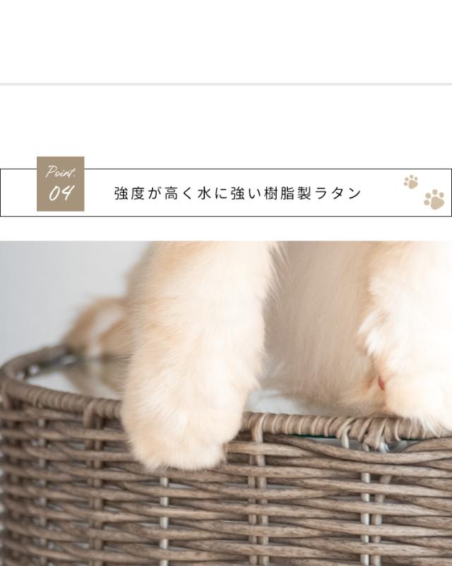 猫用ボックス