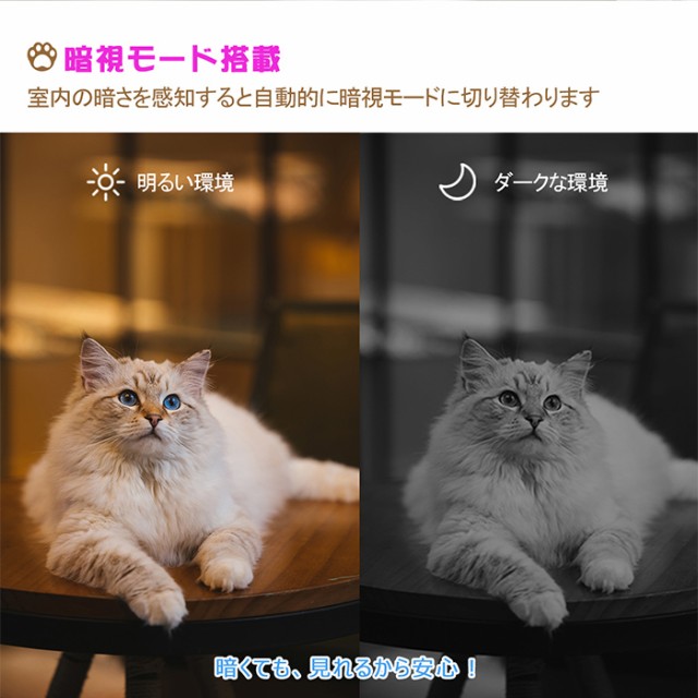 Ciaobot (チャオボット) 自動給餌機 猫2匹 自動餌やり機 猫カメラ 餌