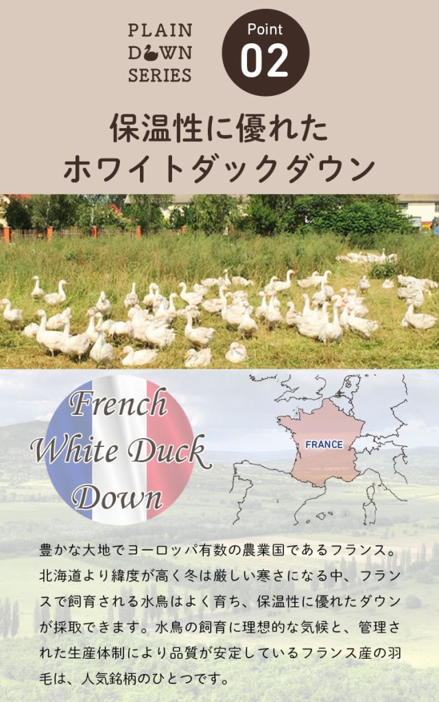 新作在庫 羽毛掛ふとん 日本製 羽毛掛け布団の通販はau PAY マーケット - 家具のインテリアオフィスワン|商品ロット クイーン ホワイトダックダウン93% ロイヤルゴールドラベル羽毛布団 防ダニ加工 低価最新品
