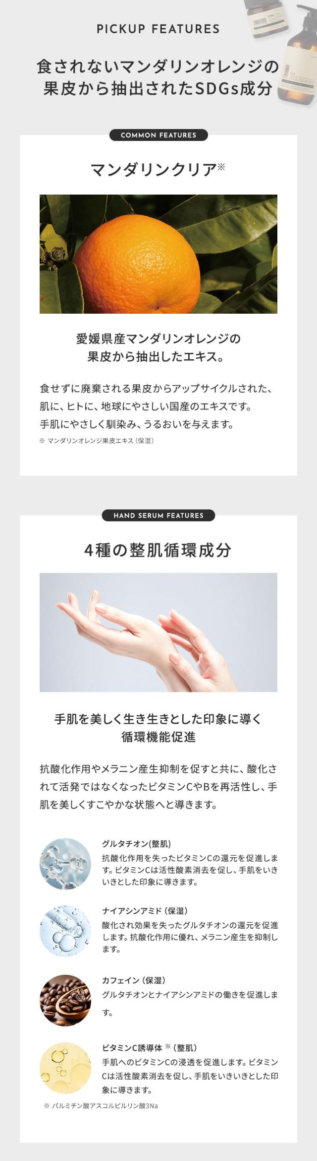 1DK ハンドセラム