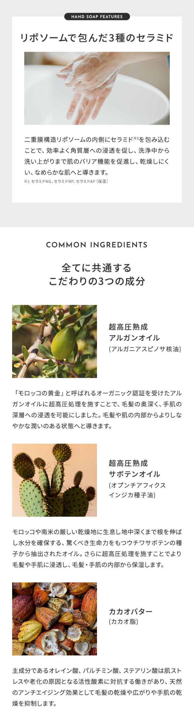 1DK ハンドセラム