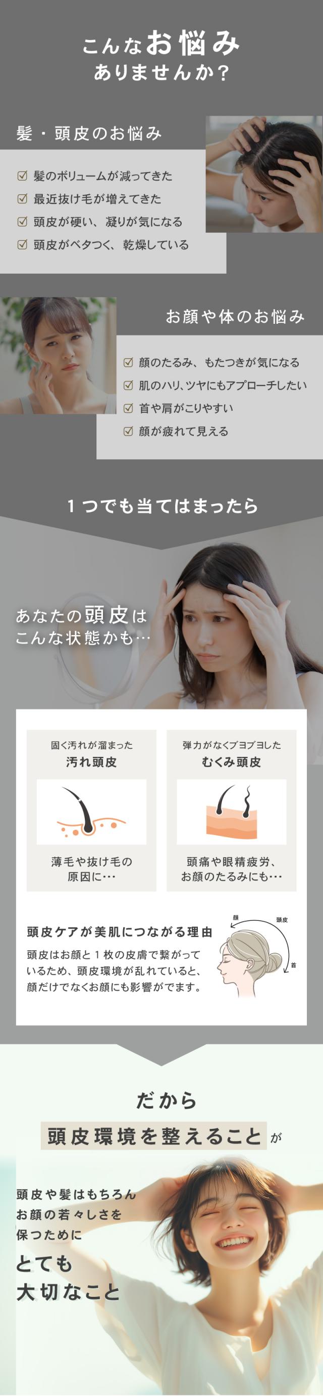 フェスティノ 充電式 EMS ヘッドスパ ミニ