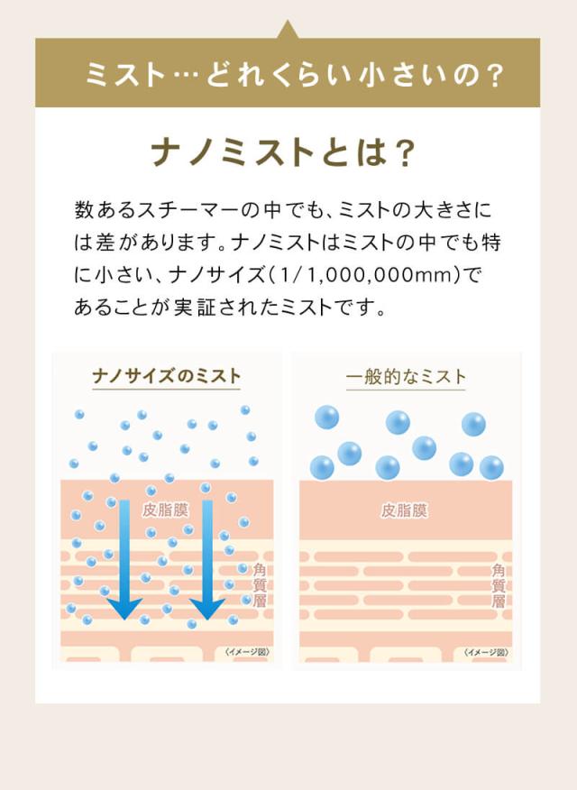 FESTINO フェスティノ フェイシャル クレンジング ナノスチーマー 