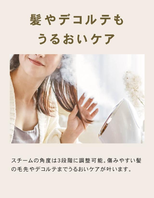 FESTINO フェスティノ フェイシャル クレンジング ナノスチーマー 