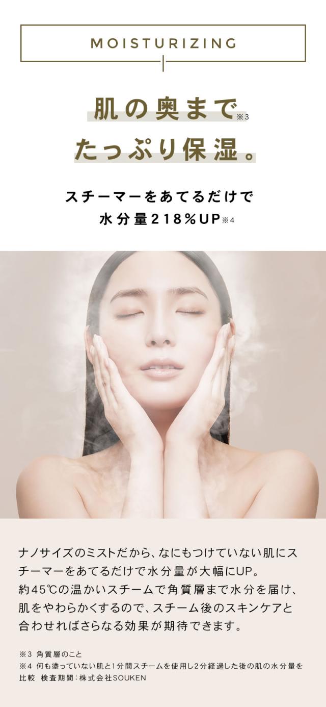 FESTINO フェスティノ フェイシャル クレンジング ナノスチーマー 