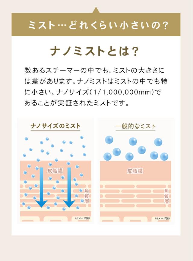 FESTINO フェスティノ フェイシャル アロマ ナノスチーマー 