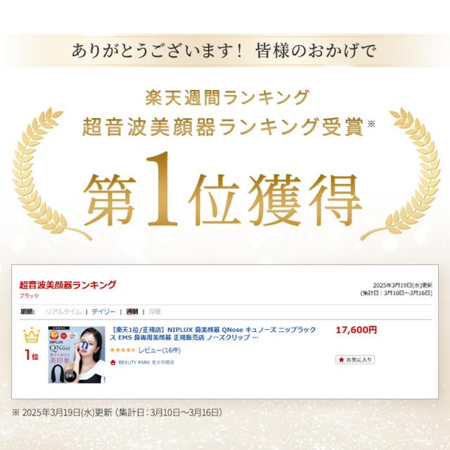 NIPLUX ニップラックス 鼻美顔器 QNose キュノーズ