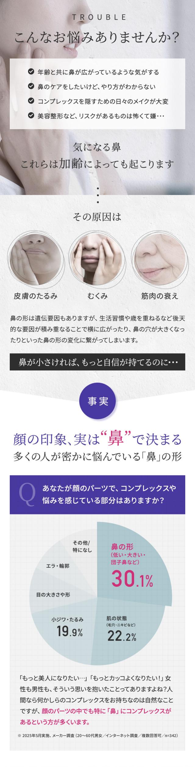 NIPLUX ニップラックス 鼻美顔器 QNose キュノーズ