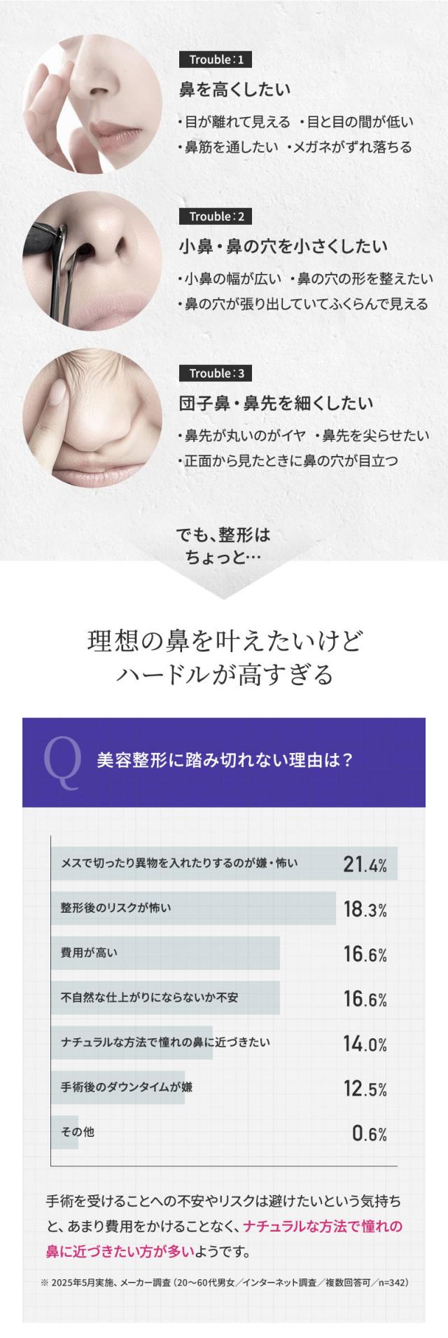 NIPLUX ニップラックス 鼻美顔器 QNose キュノーズ