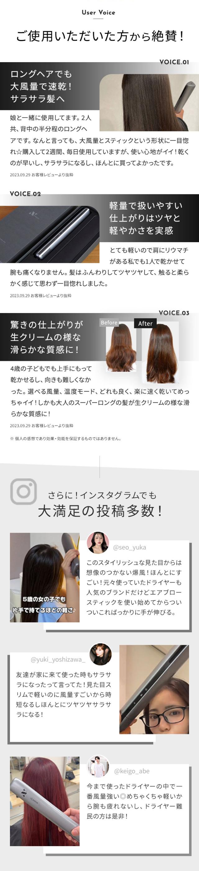 正規販売店 Noend ノーエンド エアーブロースティック