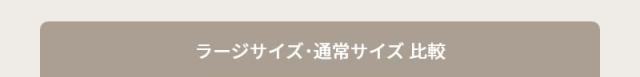 レコルト自動調理ポットラージ