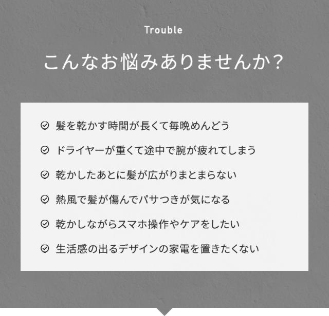 リデ ヘアドライヤー プラス